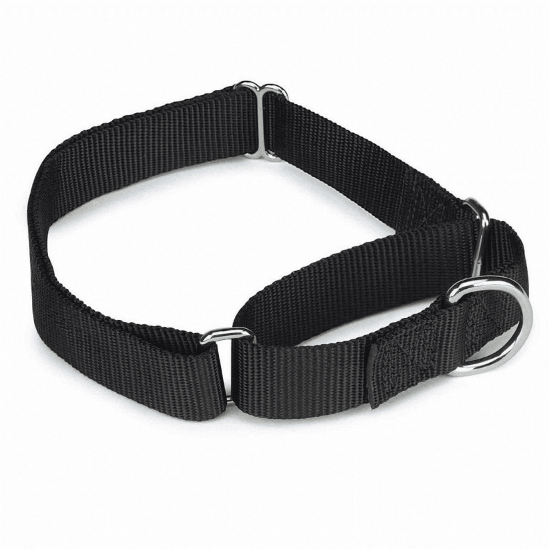GG Nylon Martingale Collar 10-16In Blk