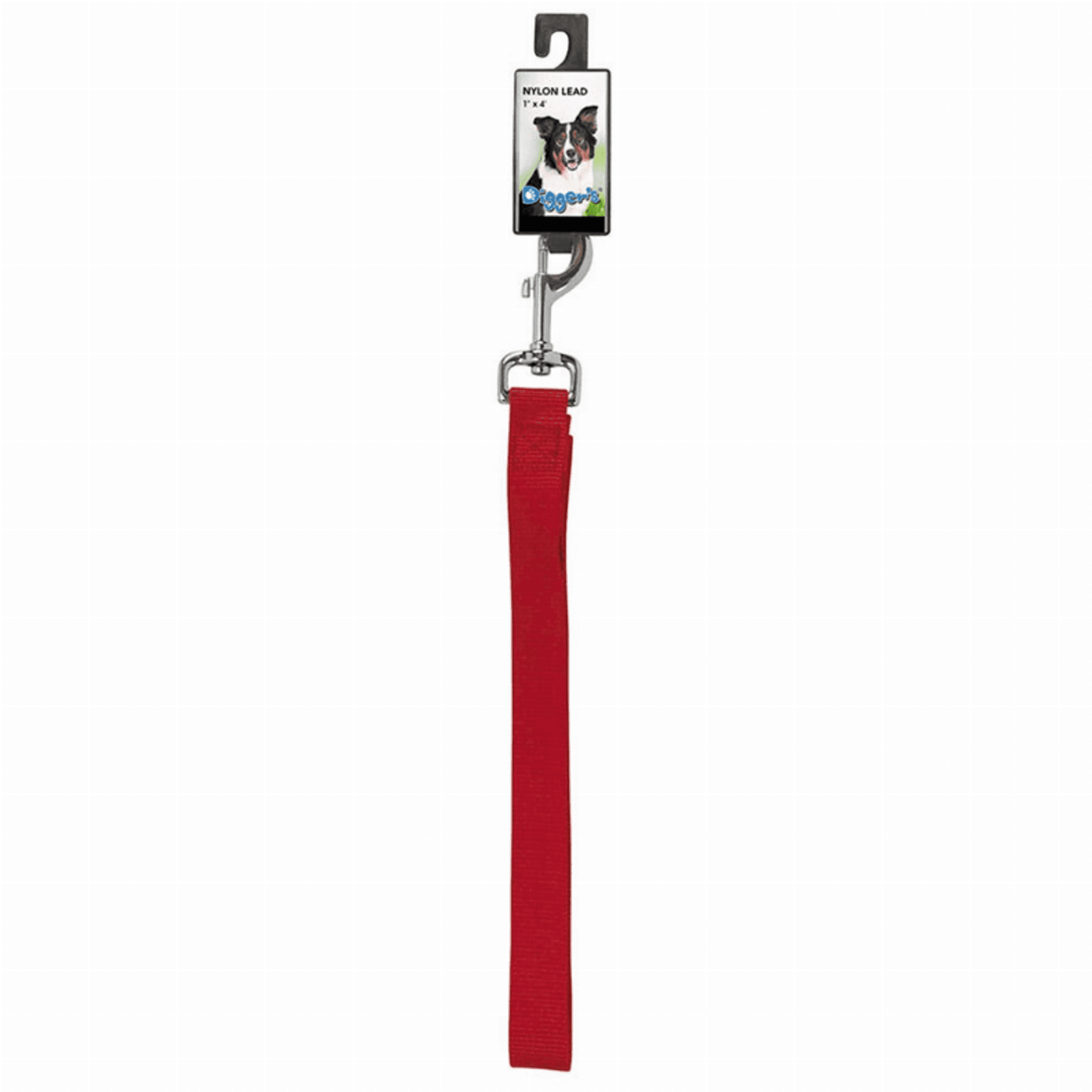 DGR 1in Nylon Lead 48in Red