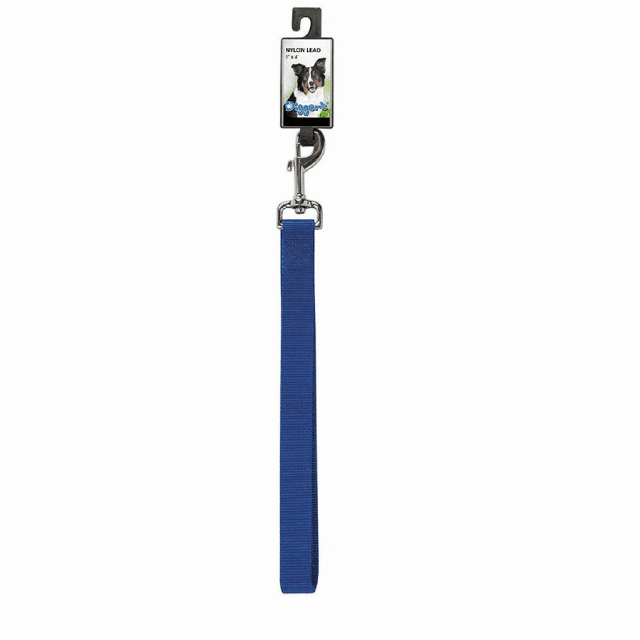 DGR 1in Nylon Lead 48in Blue