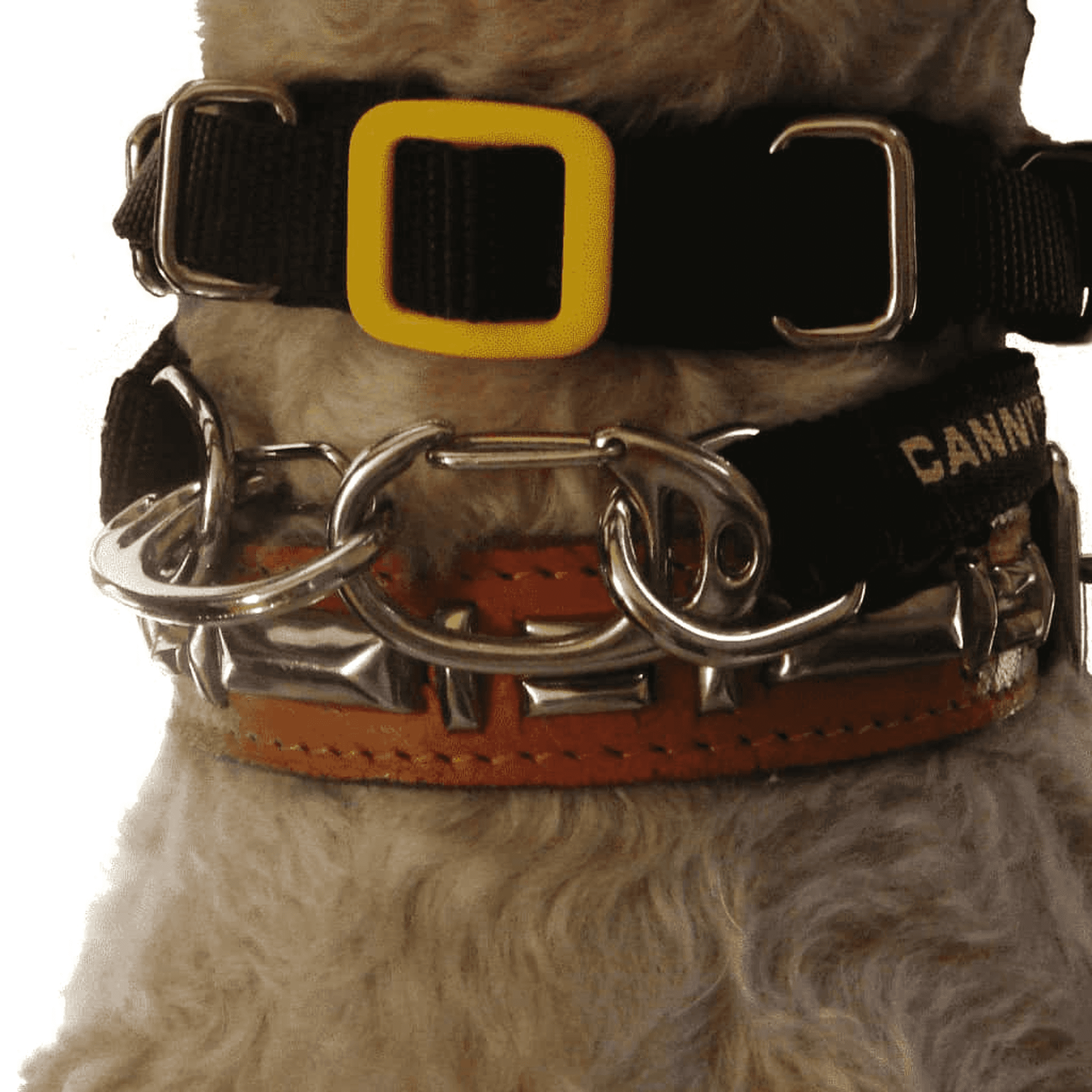 Canny Carabiners [pack of 2]