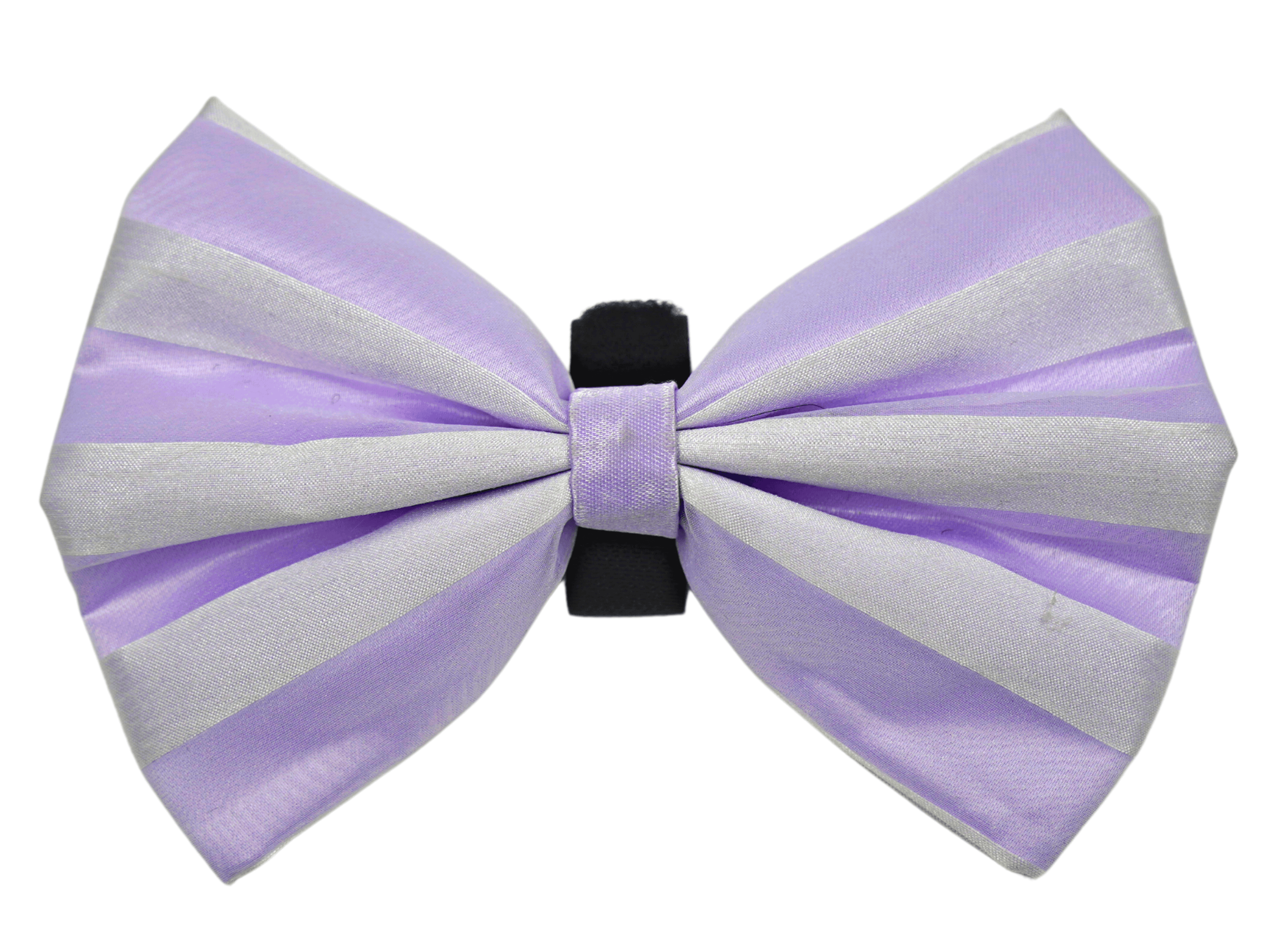 PR3006VA|Pets Ribbons