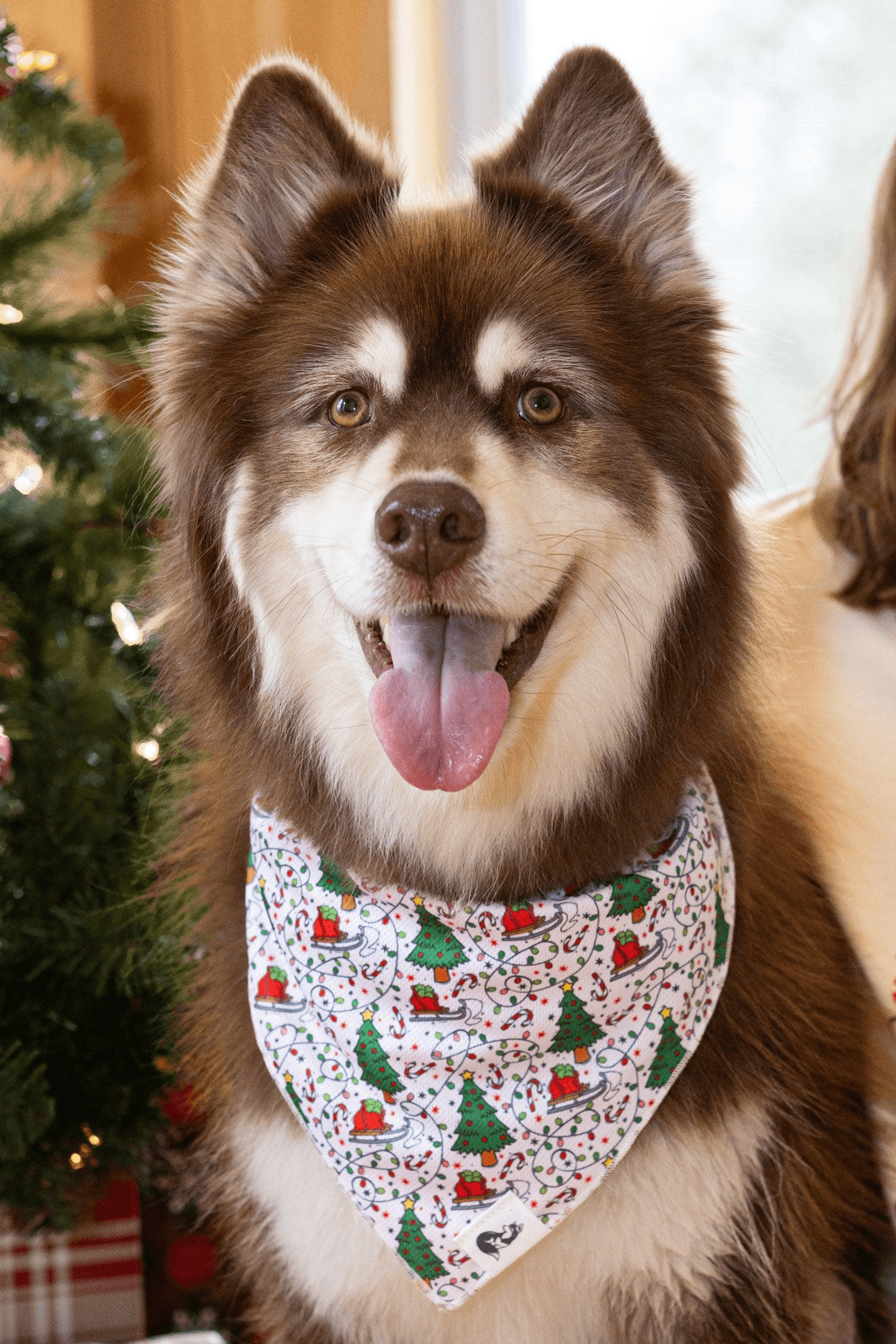 Howliday Cheer Dog Bandana