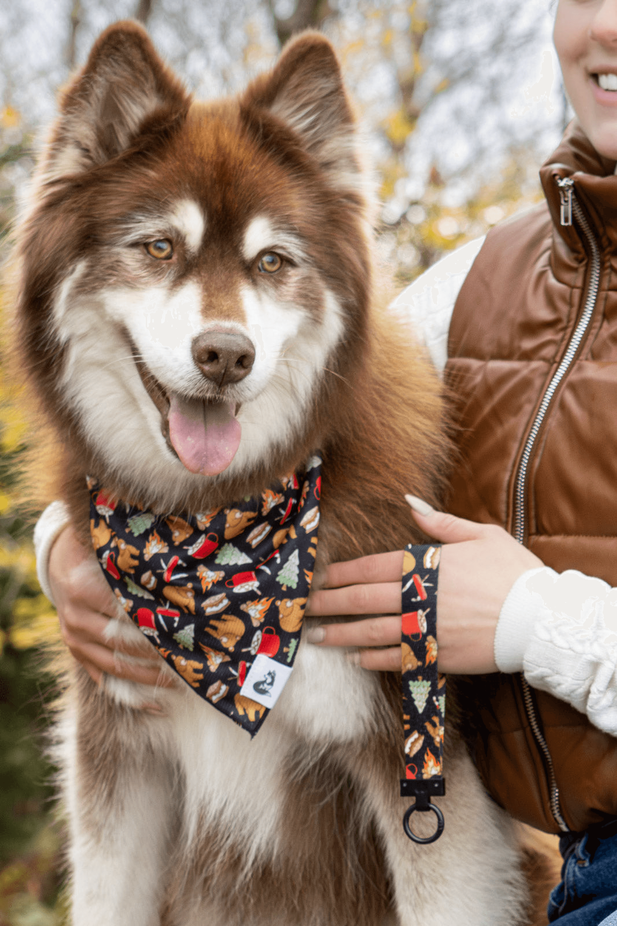 Woodland Tales Dog Bandana & Matching Keychain
