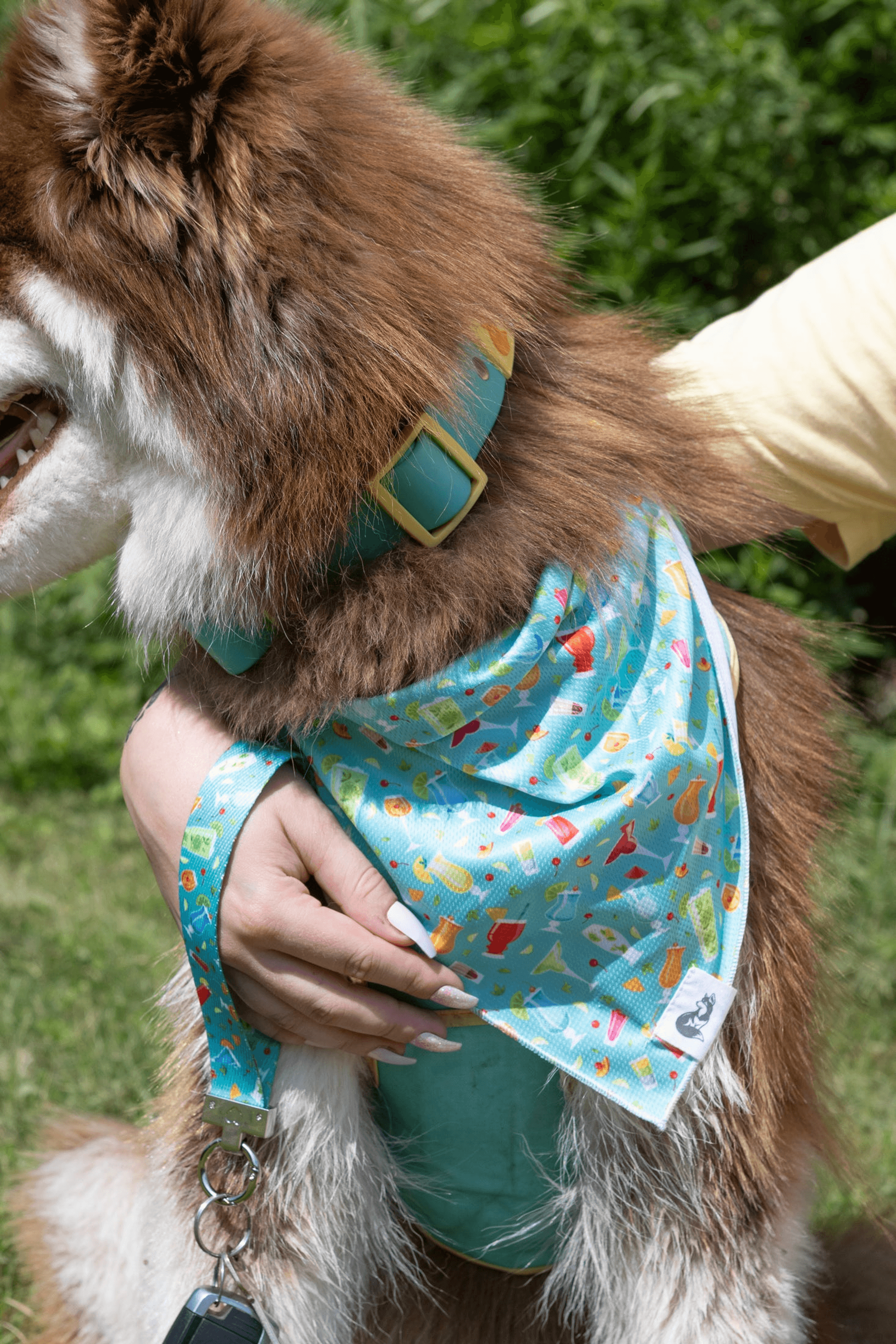 Seaside Sips Dog Bandana & Matching Keychain