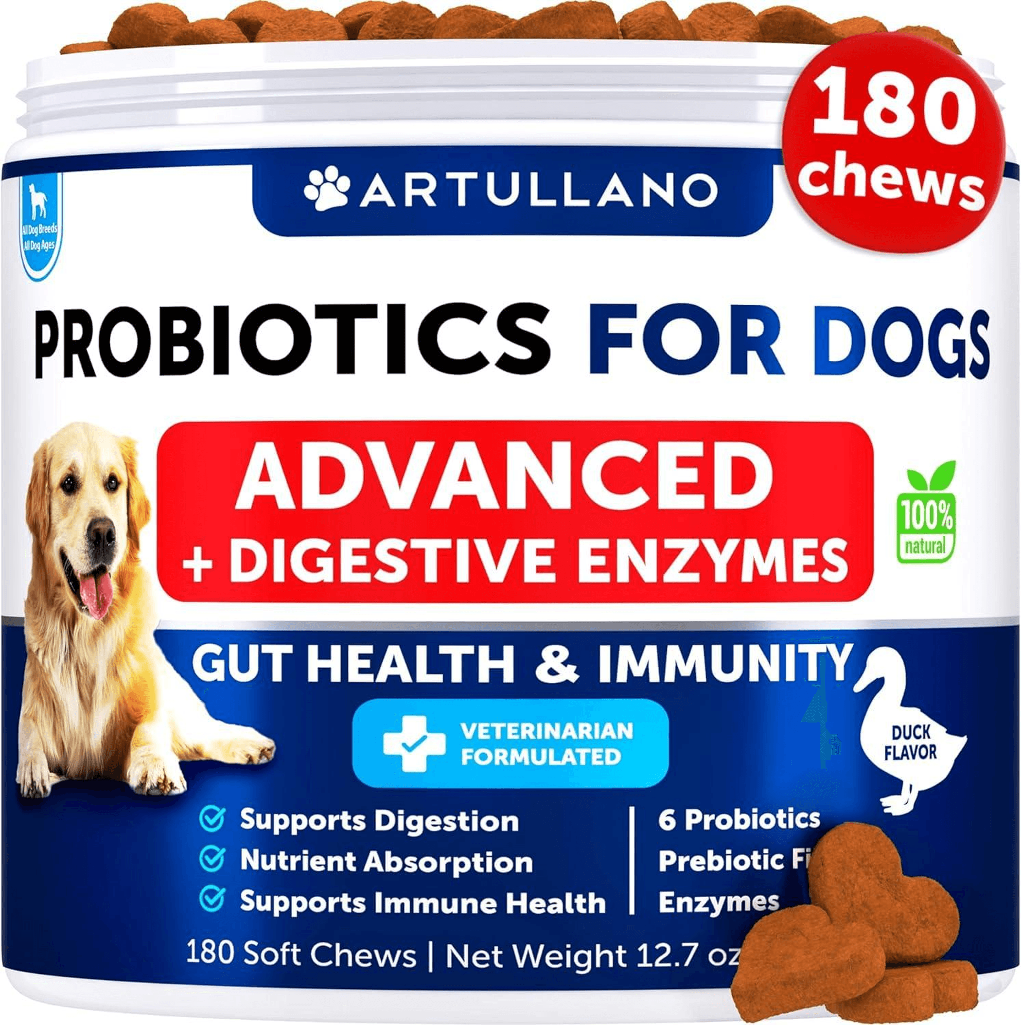 Probiotics for Dogs Support Gut Health Itchy Skin Allergies