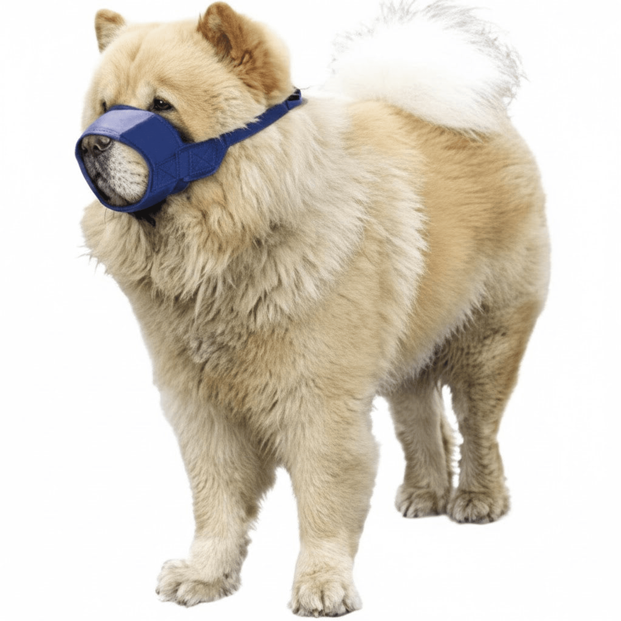 10 Pack Quick Muzzle for Short Snout Dogs Chow Muzzle