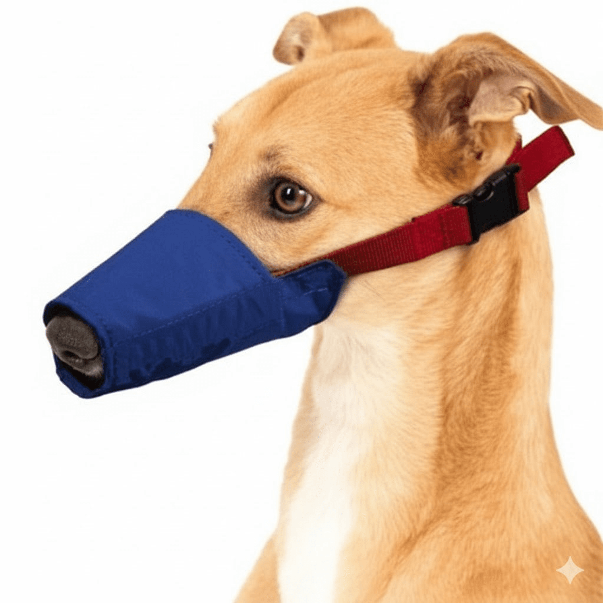 Long Snout Color-Coded Quick Muzzle