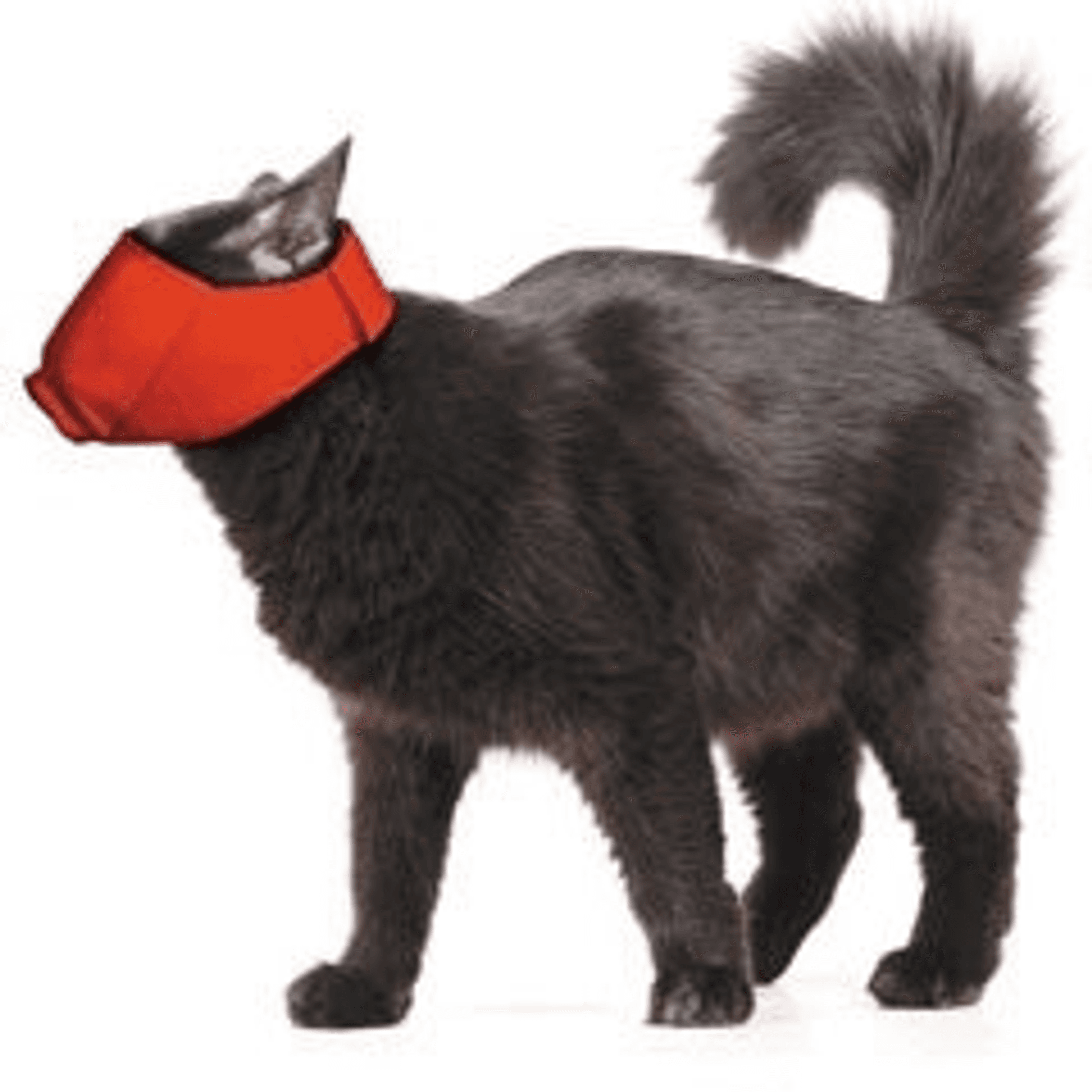 10 Pack Four Flags Over Aspen Quick Muzzle for Cats