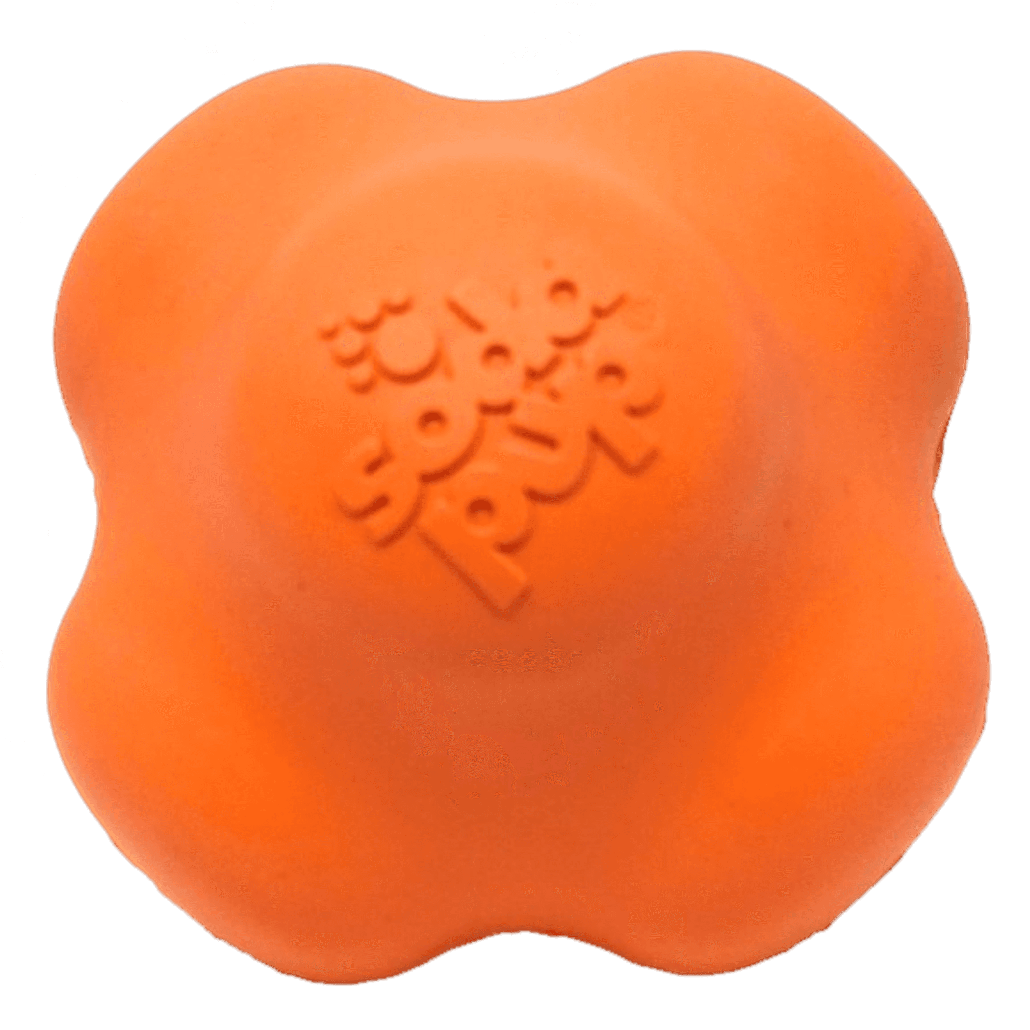 Crazy Bounce Ultra Durable Rubber Chew & Retrieving Toy