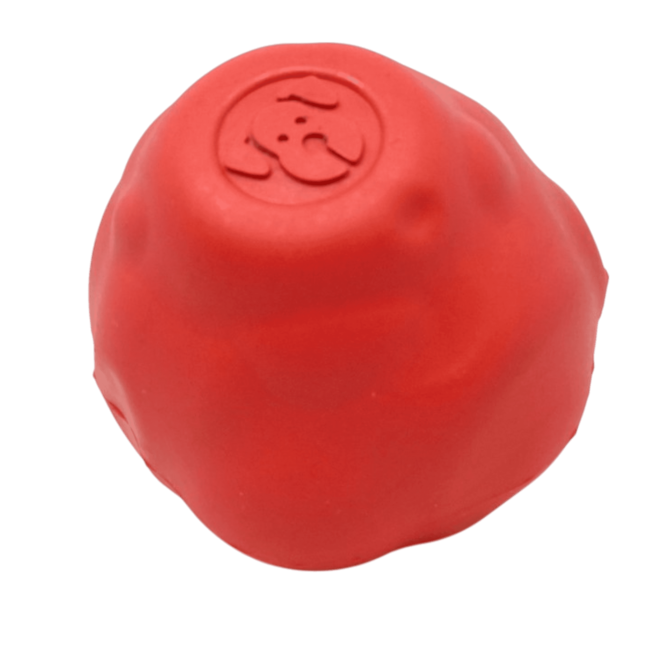 Asteroid Ultra Durable Rubber Chew Toy
