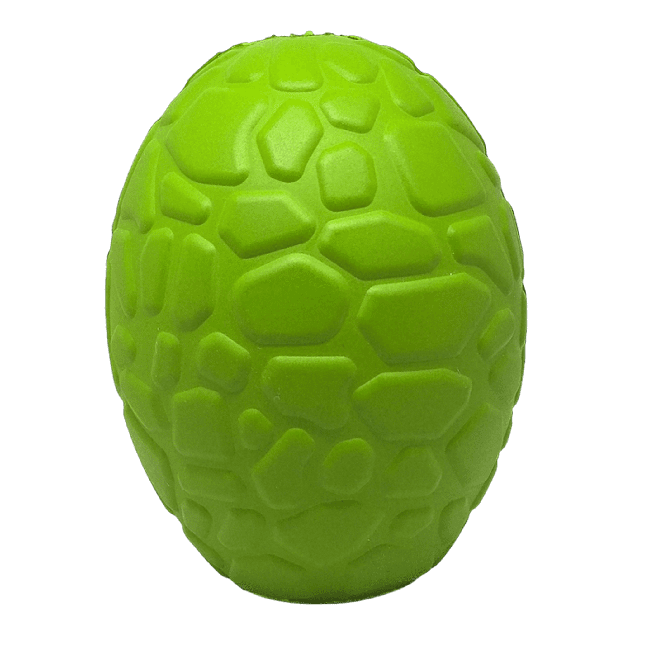 Dinosaur Egg Dog Chew Toy & Treat Dispenser