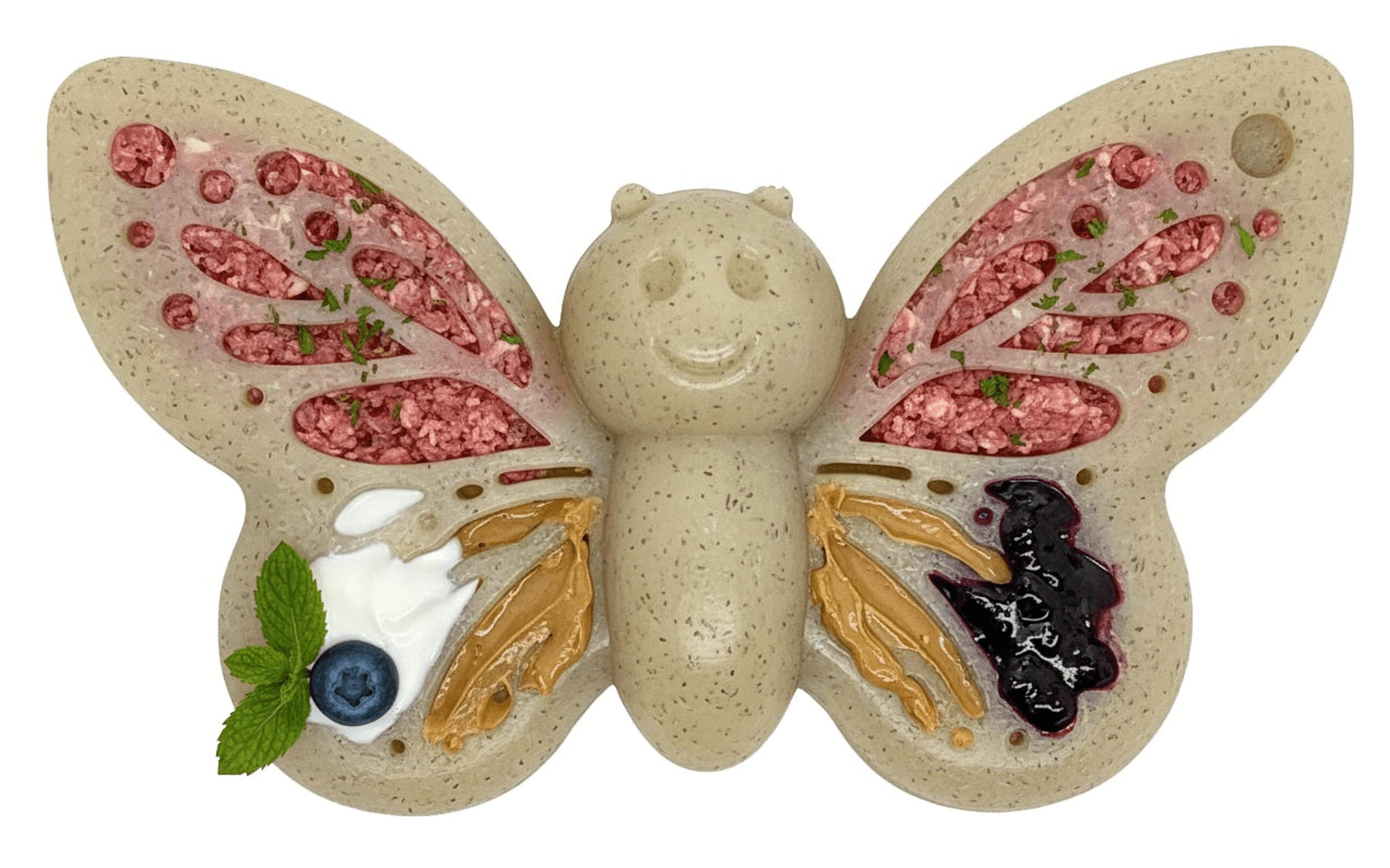 Butterfly Nylon Chew & Enrichment Toy | 2-in-1 for Aggressive Chewers