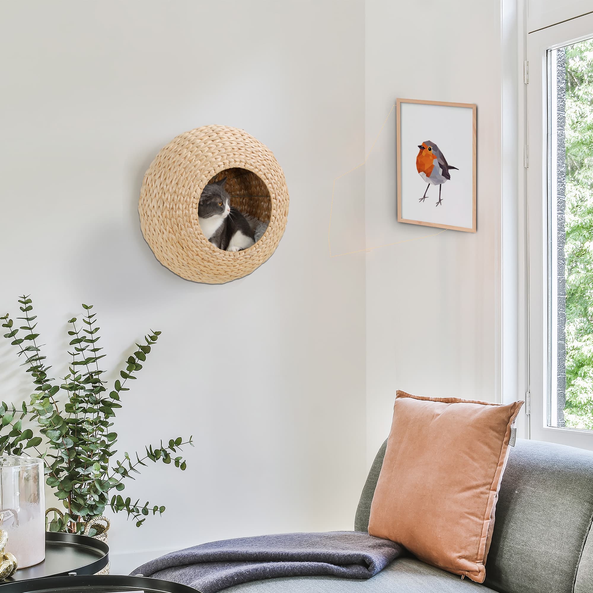 Wall Mounted Cat Condo with Washable Cushion, Natural Wood