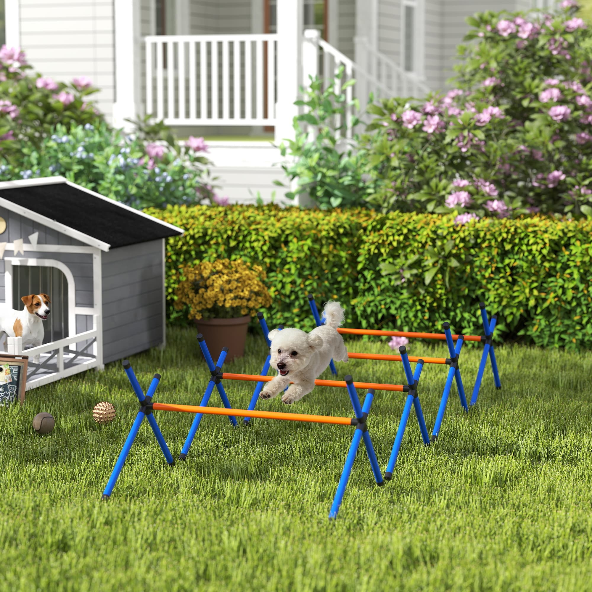 4 Pieces Dog Agility Equipment, Dog Agility Course Backyard Set with Adjustable Height Jump Bars and Carry Bag