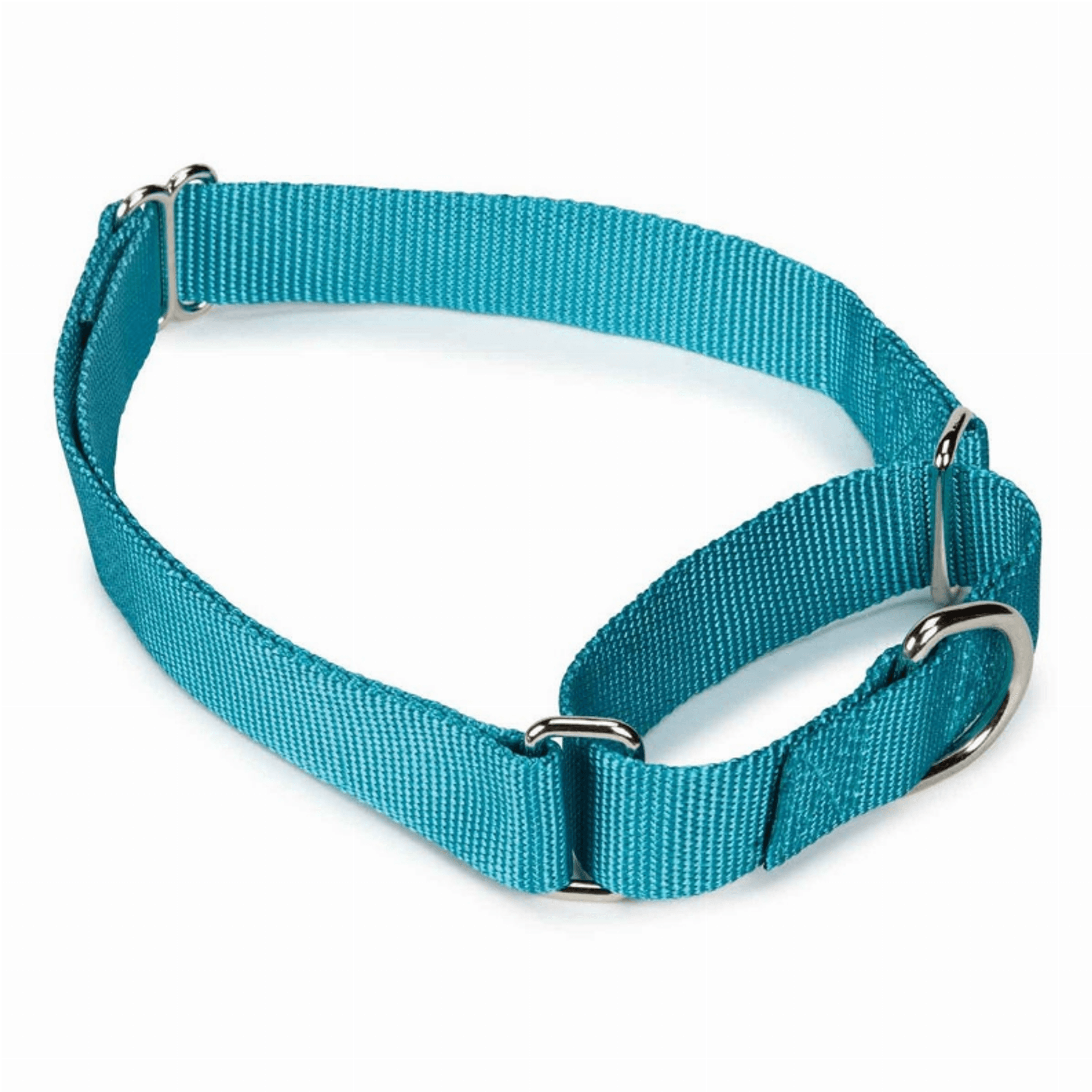 GG Nylon Martingale Collar 14-20In LtB