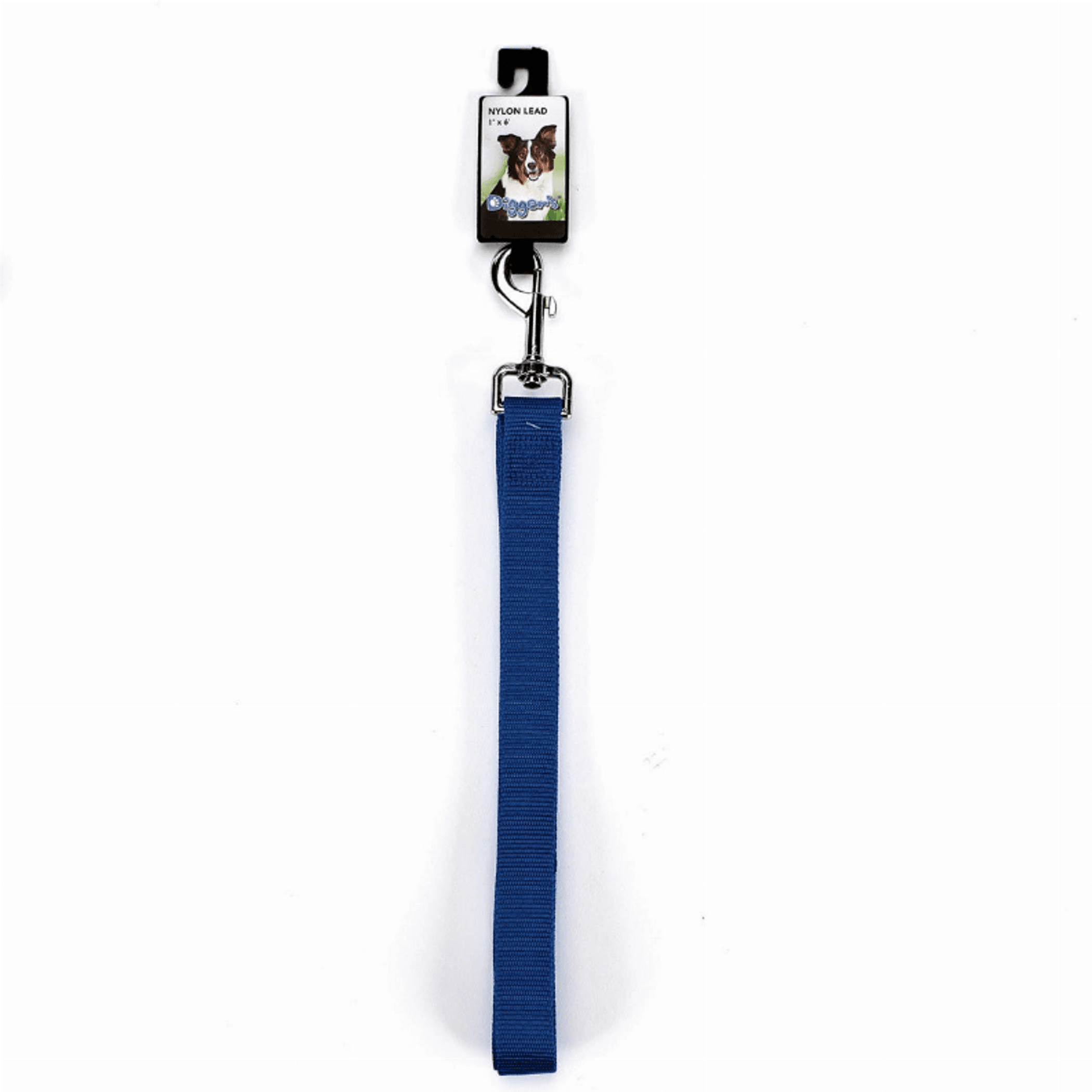 DGR 1in Nylon Lead 72in Blue