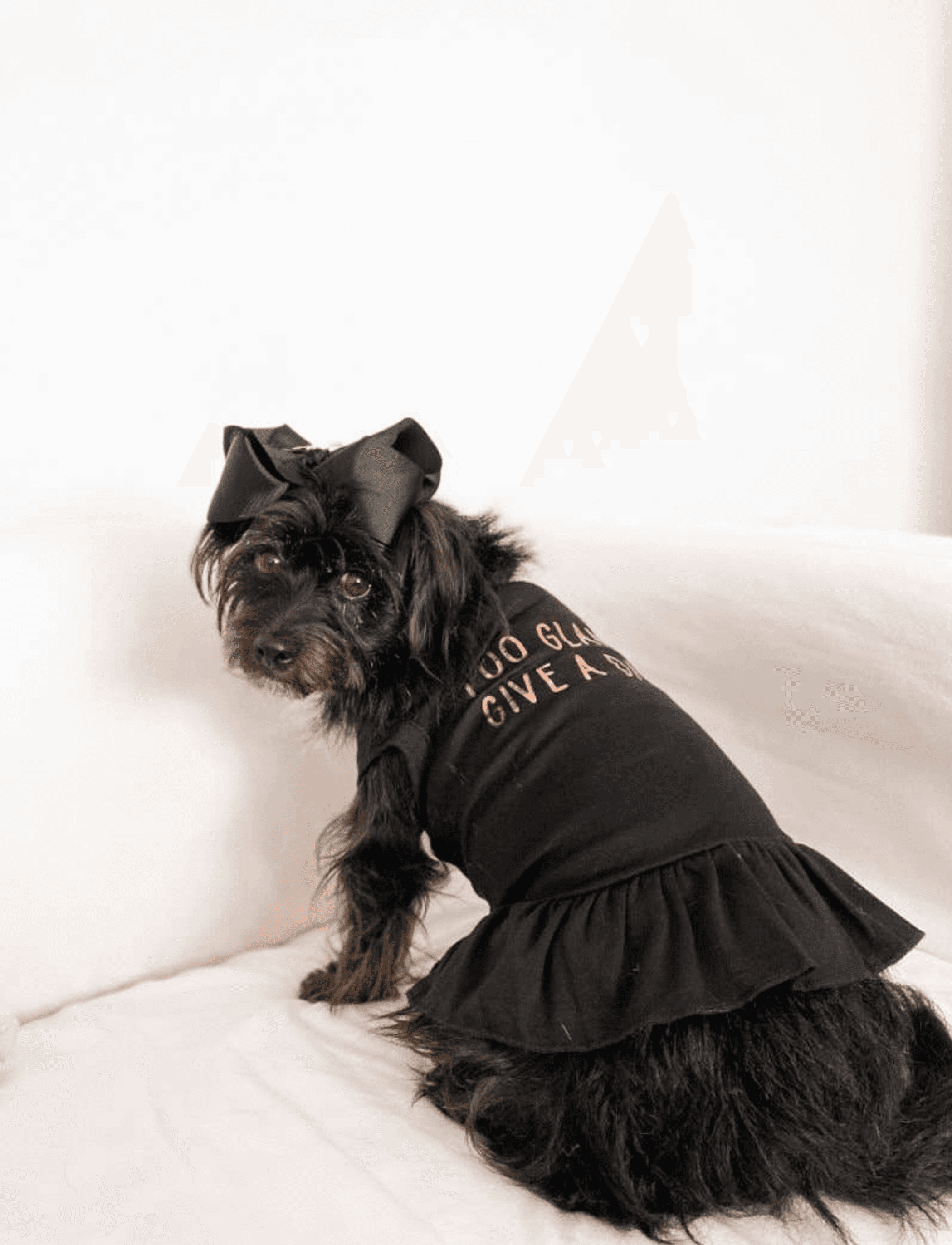 Too Glam to Give a Damn