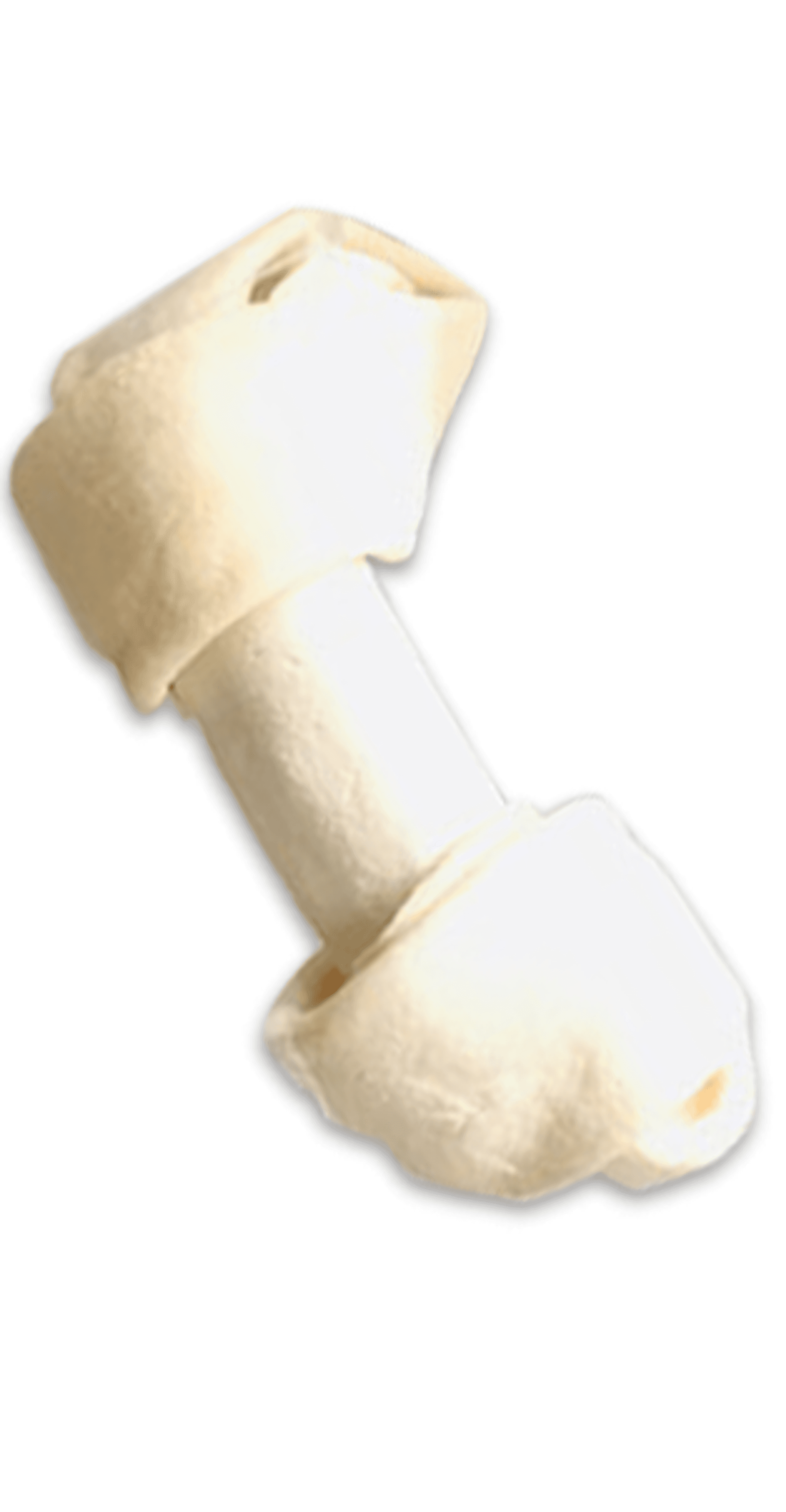 Natural Knotted Bone