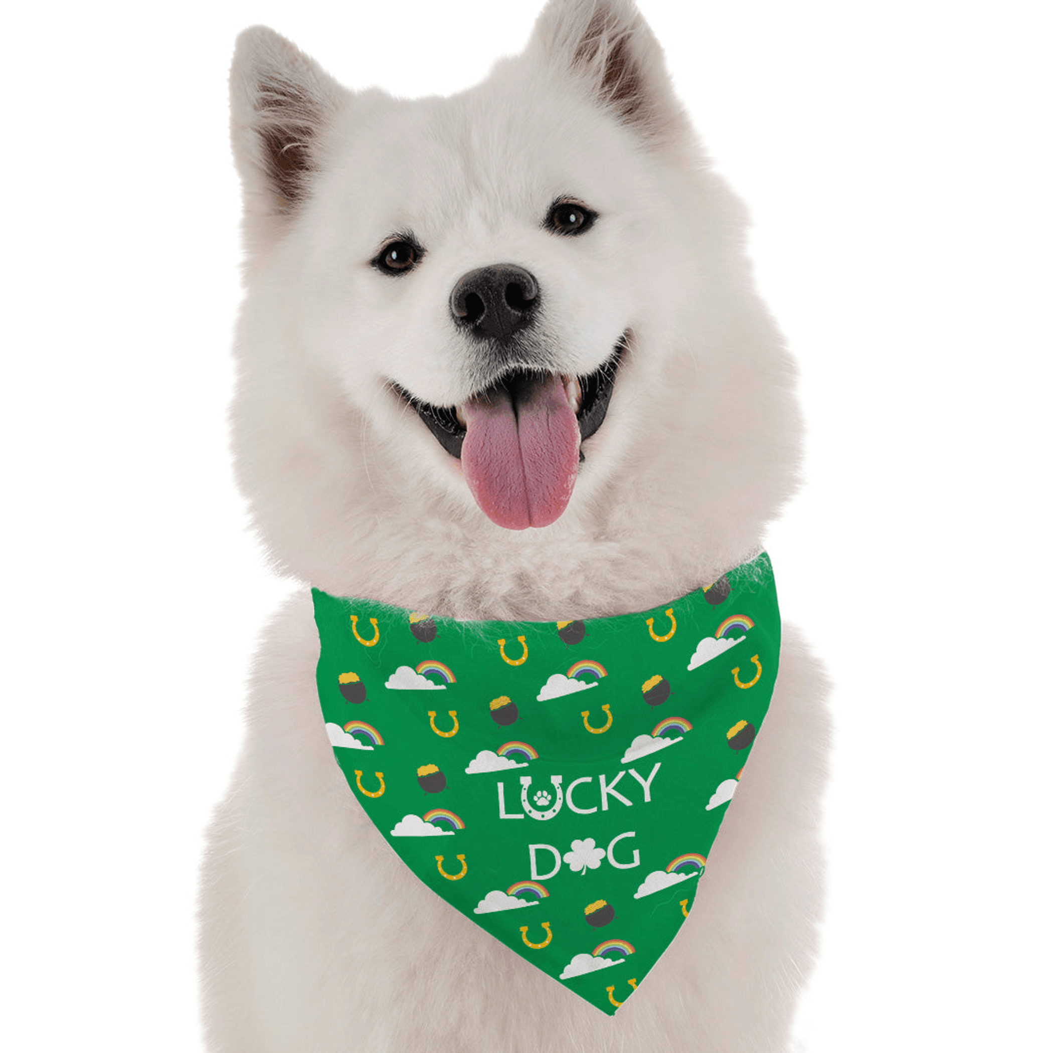 Lucky Dog