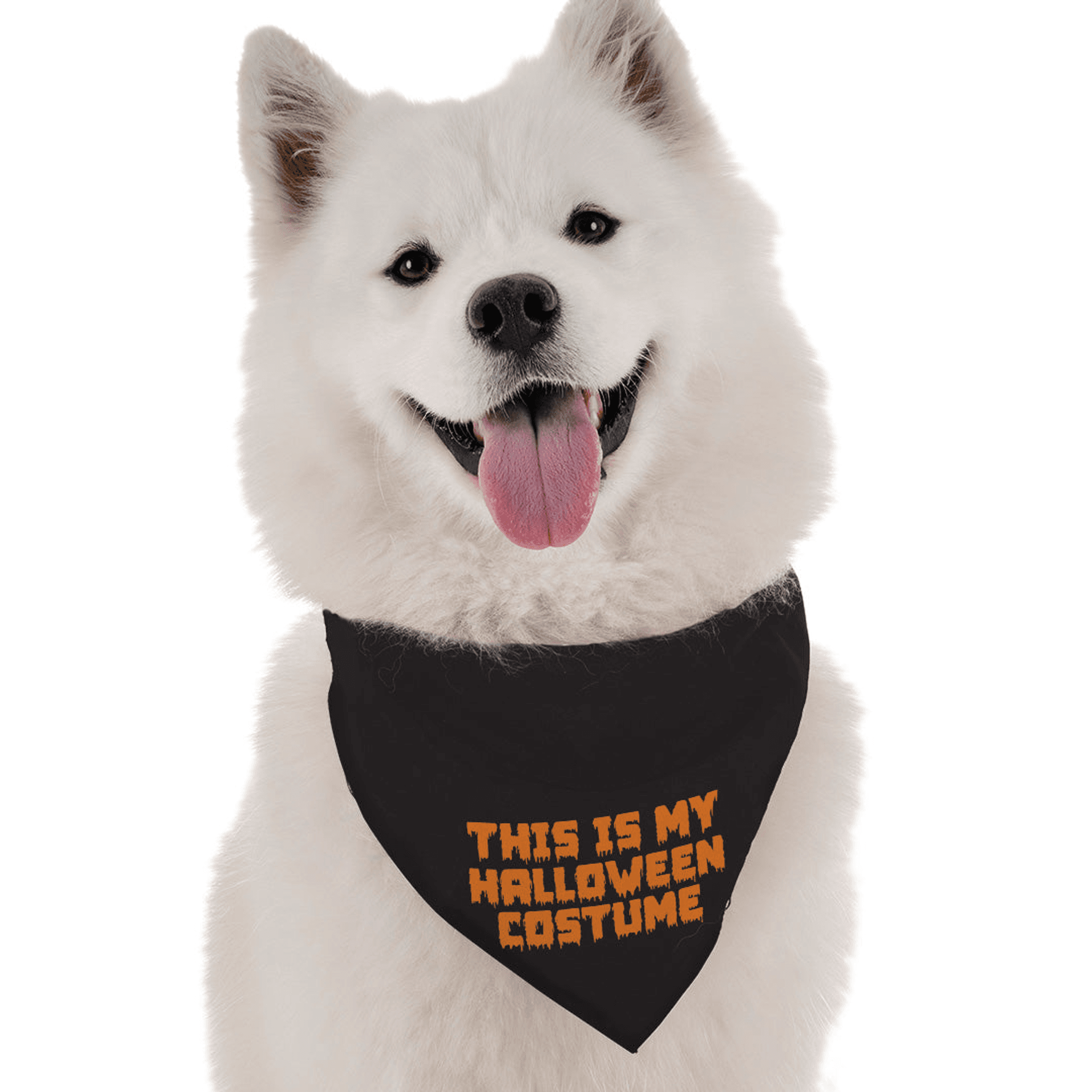 This is My Halloween Costume