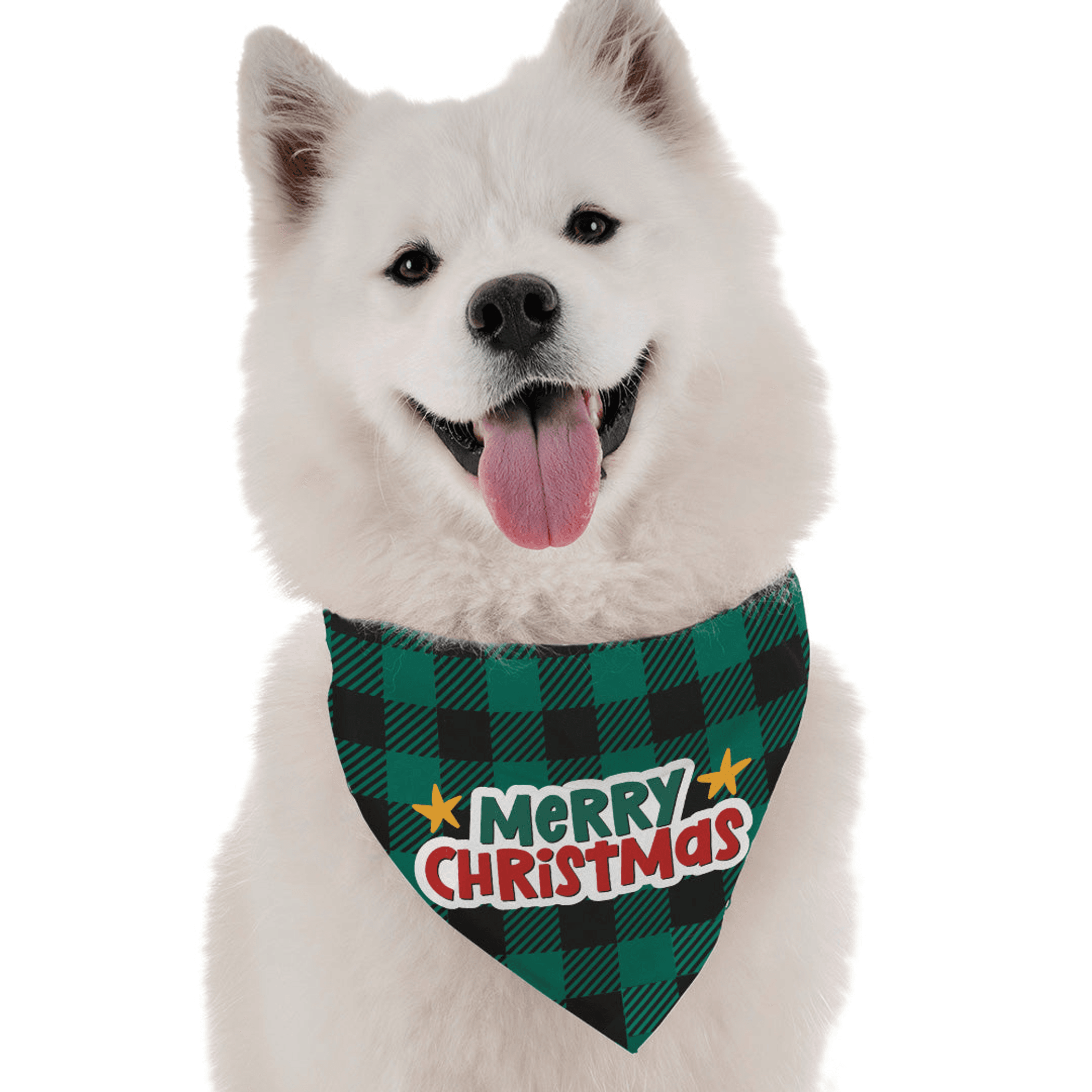 Merry Christmas - 2