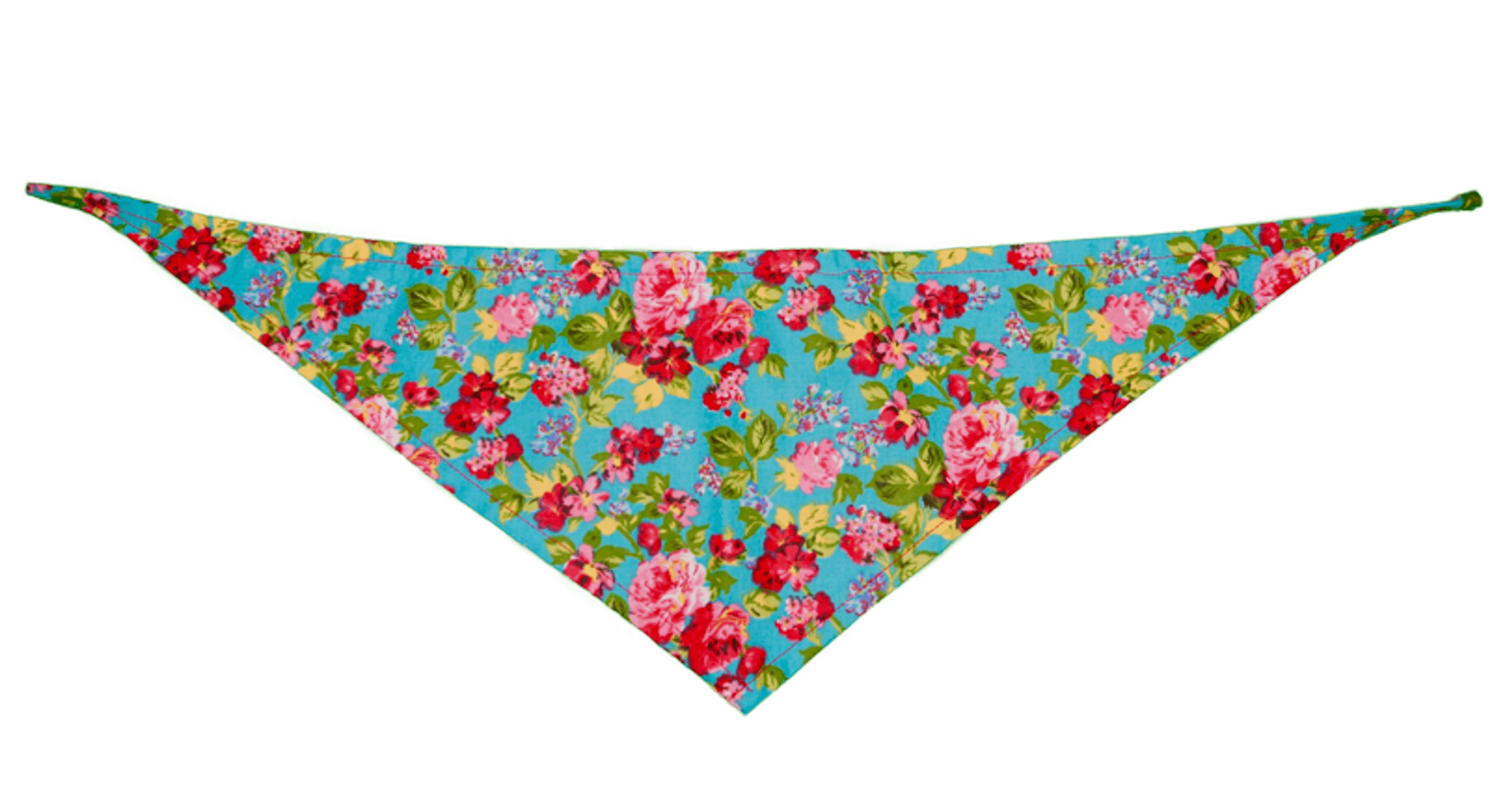 GG129FB Marine|Pets Ribbons