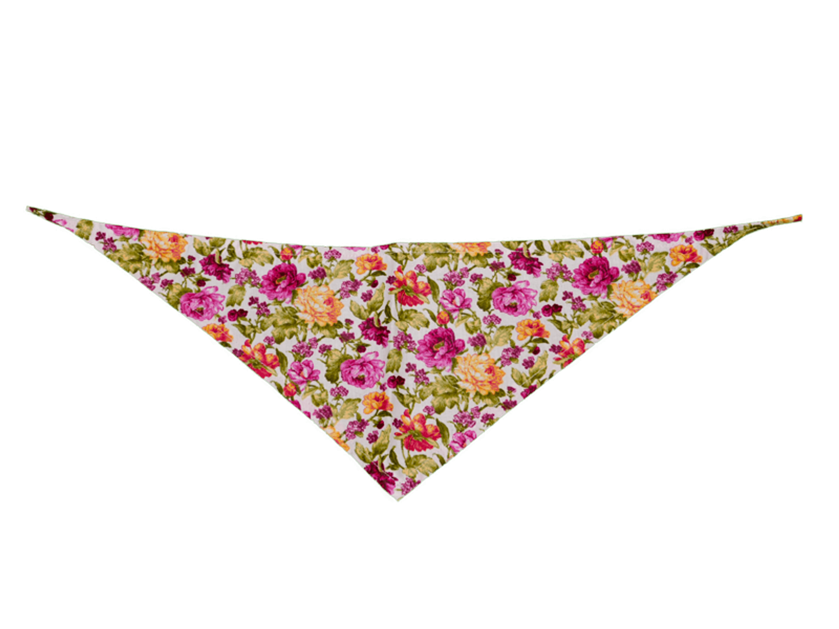 GG129FB|Pets Ribbons