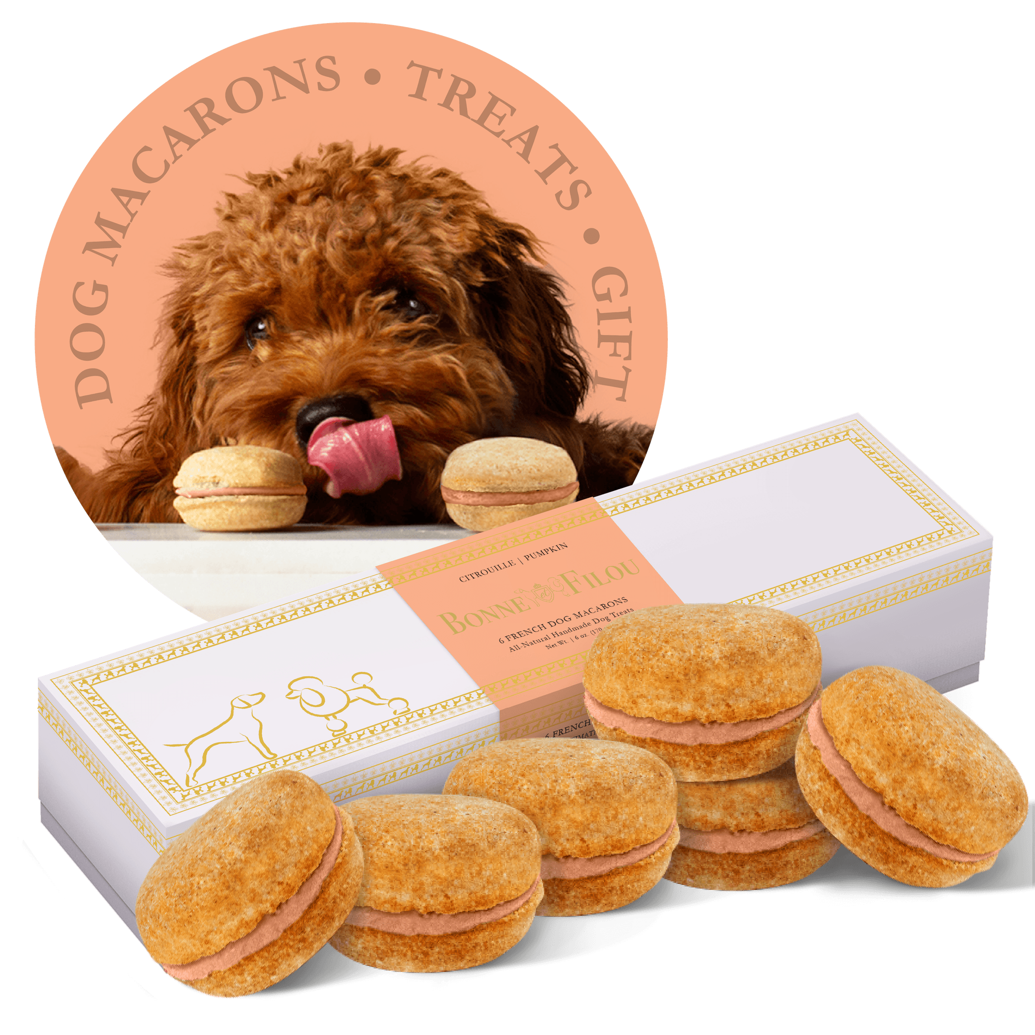 Dog Macarons - Box of 6 (Available in 12 Flavors)