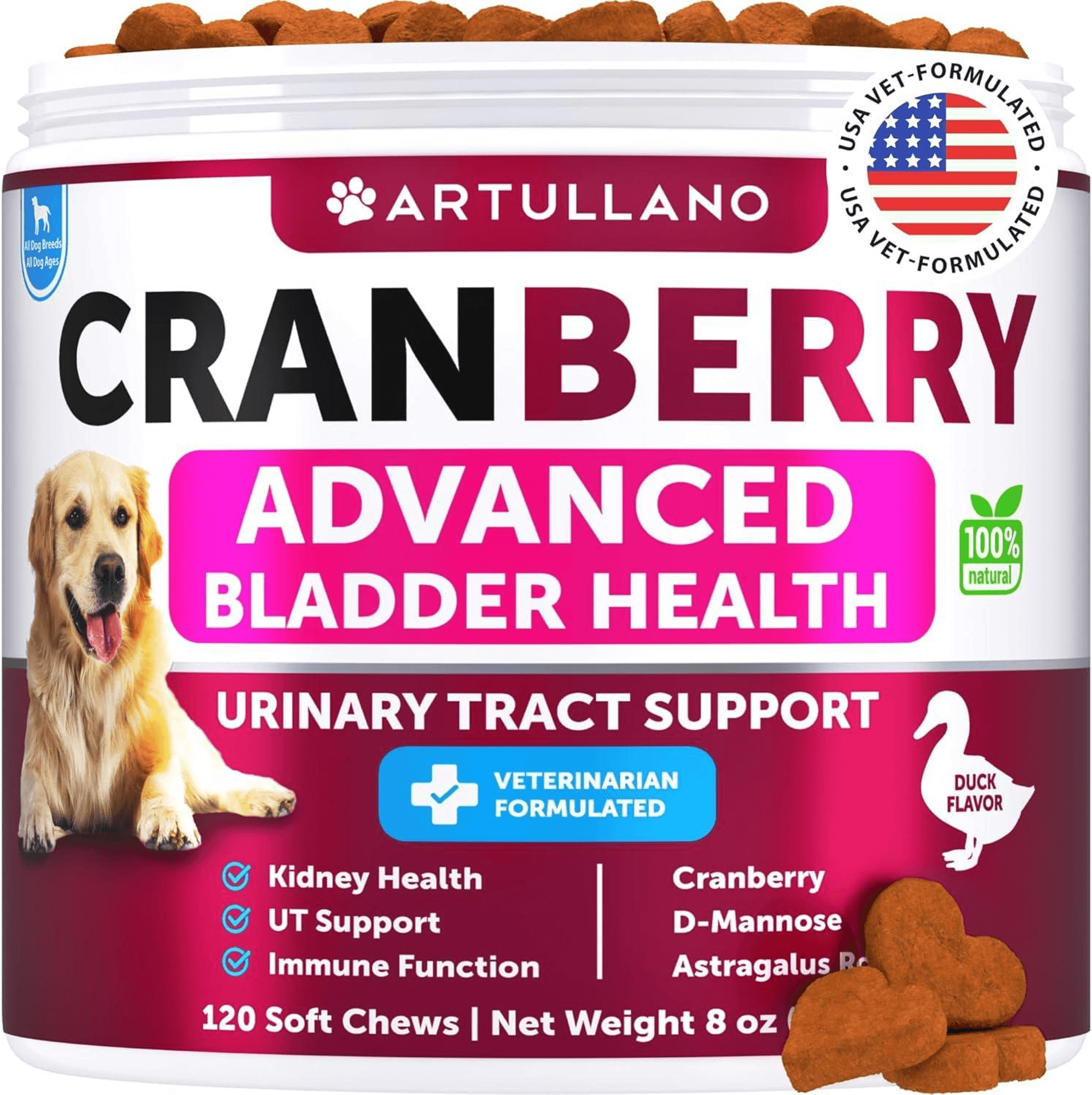 Dog UTI Treatment