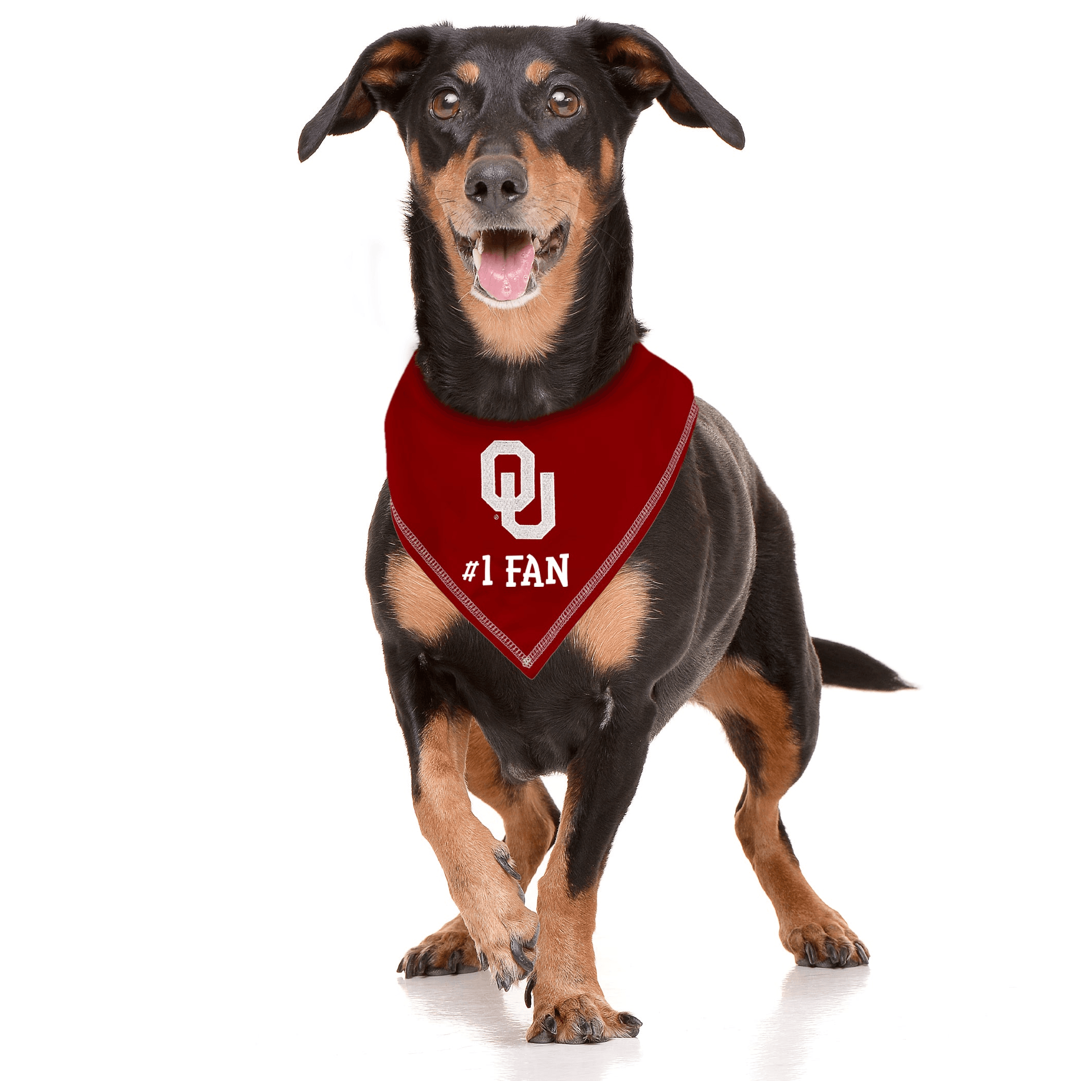 OKLAHOMA TIE AROUND BANDANA